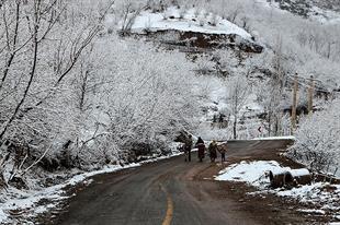 طبیعت و زمستان